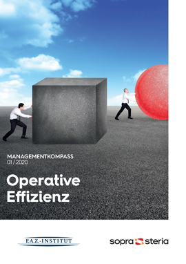 Mangementkompass Operative Effizienz 2020_Titel_thumbnail
